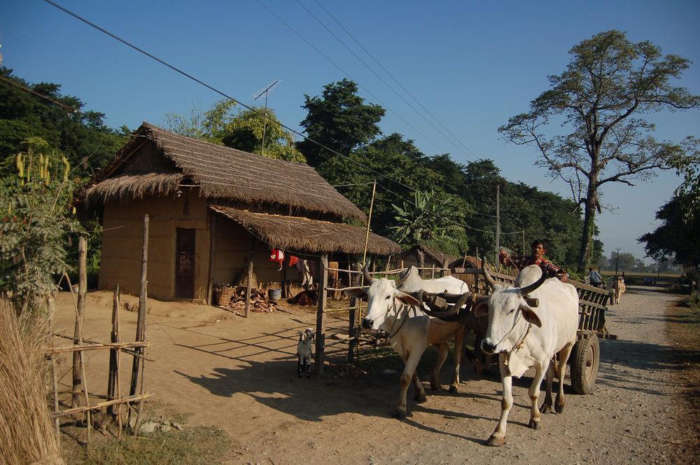 Machan Country Villa Kumarwarti Eksteriør billede