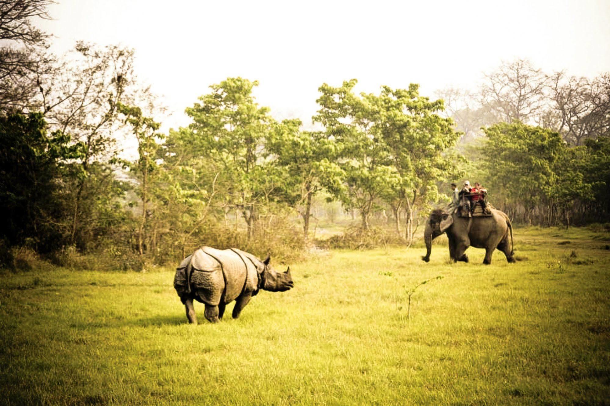 Machan Country Villa Kumarwarti Eksteriør billede